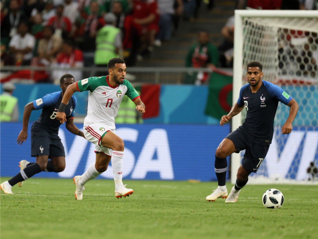 它还蕴含了 它还蕴含了